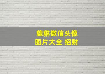 貔貅微信头像图片大全 招财